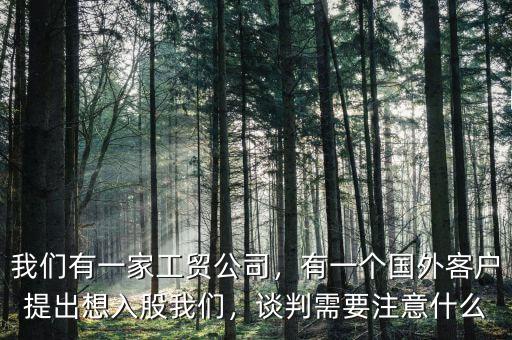 我們有一家工貿(mào)公司，有一個(gè)國(guó)外客戶提出想入股我們，談判需要注意什么
