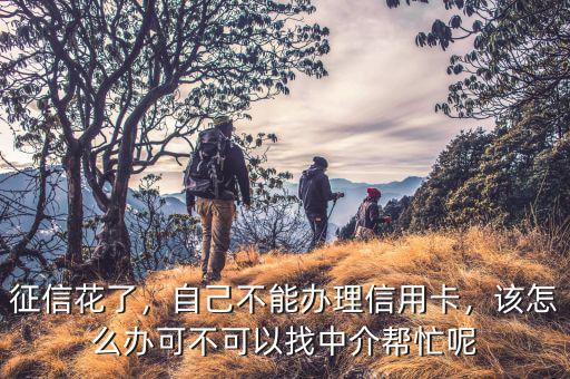 征信花了，自己不能辦理信用卡，該怎么辦可不可以找中介幫忙呢