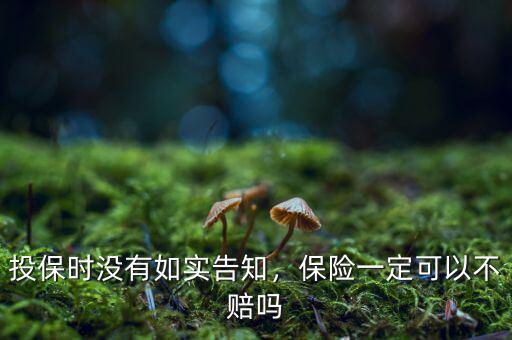 投保時(shí)沒(méi)有如實(shí)告知，保險(xiǎn)一定可以不賠嗎