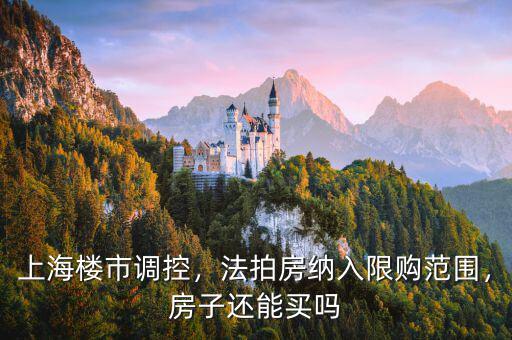 上海樓市調(diào)控，法拍房納入限購范圍，房子還能買嗎
