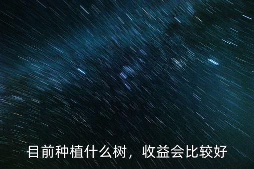 目前種植什么樹(shù)，收益會(huì)比較好