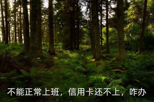 不能正常上班，信用卡還不上，咋辦