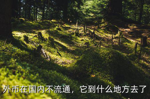 外幣在國內(nèi)不流通，它到什么地方去了