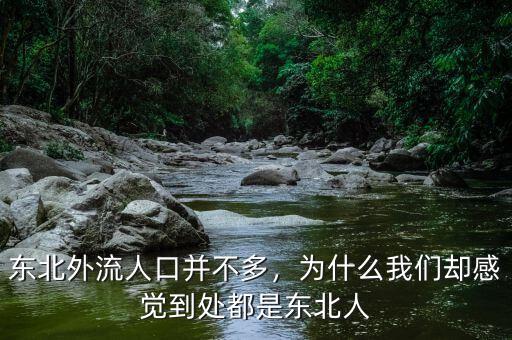 東北外流人口并不多，為什么我們卻感覺到處都是東北人