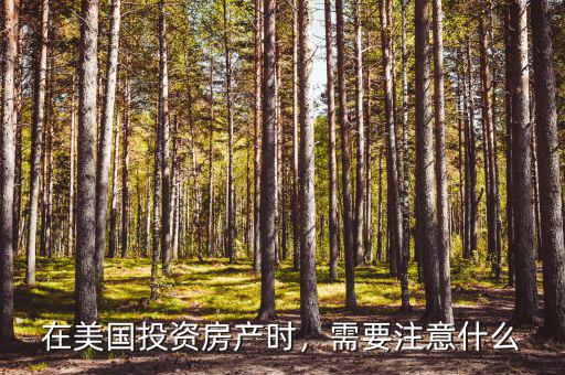 在美國(guó)投資房產(chǎn)時(shí)，需要注意什么