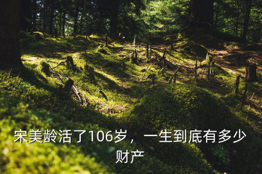宋美齡活了106歲，一生到底有多少財(cái)產(chǎn)