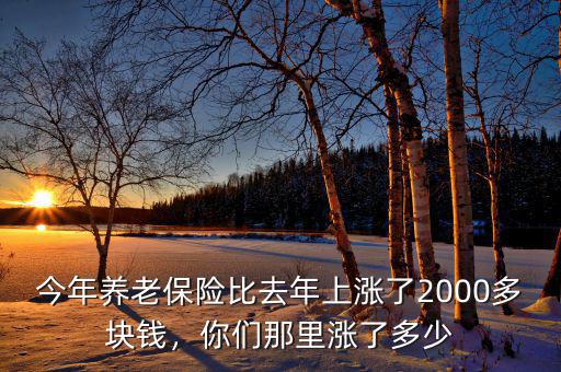 今年養(yǎng)老保險(xiǎn)比去年上漲了2000多塊錢，你們那里漲了多少
