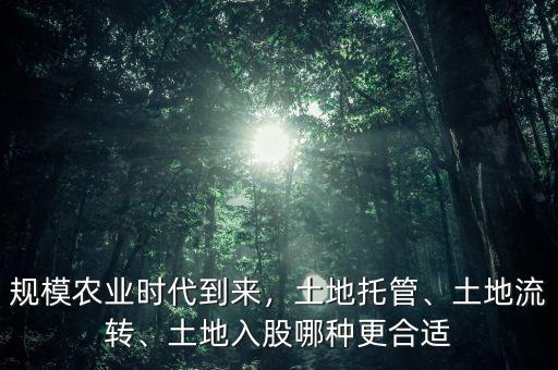 規(guī)模農(nóng)業(yè)時代到來，土地托管、土地流轉(zhuǎn)、土地入股哪種更合適