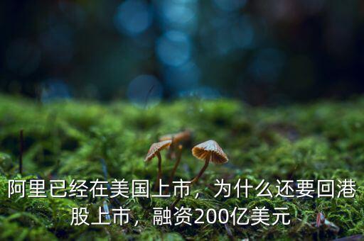 阿里已經(jīng)在美國上市，為什么還要回港股上市，融資200億美元