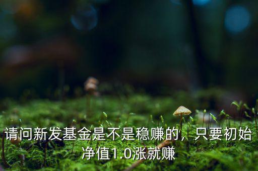 請(qǐng)問新發(fā)基金是不是穩(wěn)賺的，只要初始凈值1.0漲就賺