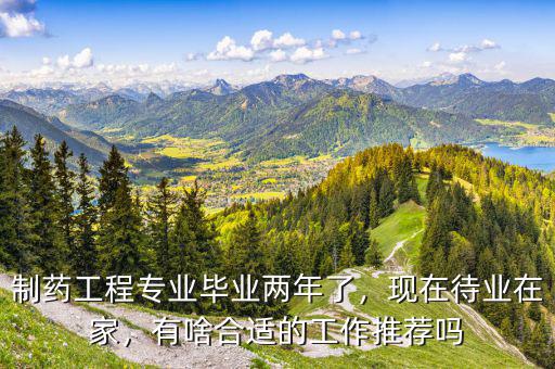 制藥工程專業(yè)畢業(yè)兩年了，現(xiàn)在待業(yè)在家，有啥合適的工作推薦嗎