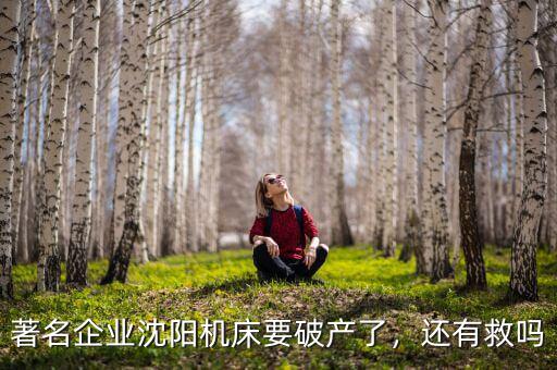 著名企業(yè)沈陽機床要破產(chǎn)了，還有救嗎