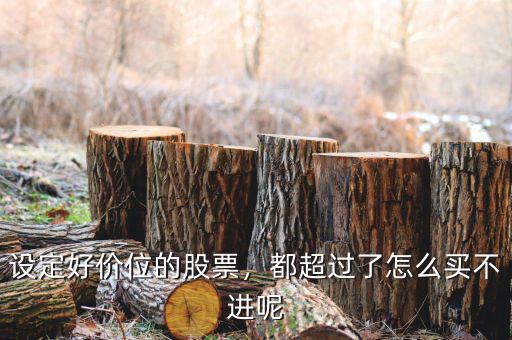 設定好價位的股票，都超過了怎么買不進呢