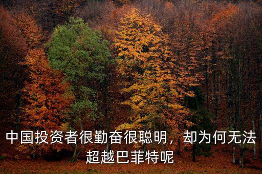 中國投資者很勤奮很聰明，卻為何無法超越巴菲特呢