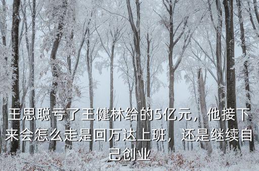 王思聰虧了王健林給的5億元，他接下來會怎么走是回萬達(dá)上班，還是繼續(xù)自己創(chuàng)業(yè)