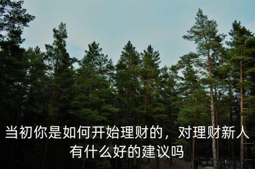 當(dāng)初你是如何開始理財(cái)?shù)?，?duì)理財(cái)新人有什么好的建議嗎