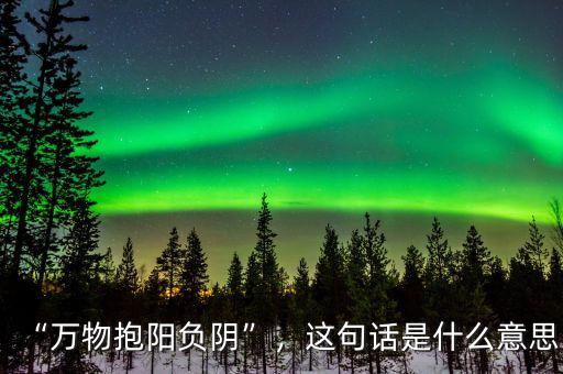 “萬(wàn)物抱陽(yáng)負(fù)陰”，這句話(huà)是什么意思