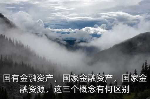 國有金融資產(chǎn)，國家金融資產(chǎn)，國家金融資源，這三個概念有何區(qū)別