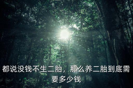 都說沒錢不生二胎，那么養(yǎng)二胎到底需要多少錢