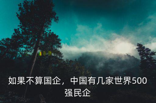 如果不算國企，中國有幾家世界500強(qiáng)民企