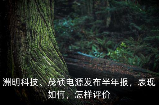 洲明科技、茂碩電源發(fā)布半年報(bào)，表現(xiàn)如何，怎樣評(píng)價(jià)