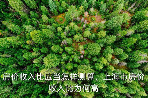 房?jī)r(jià)收入比應(yīng)當(dāng)怎樣測(cè)算，上海市房?jī)r(jià)收入比為何高