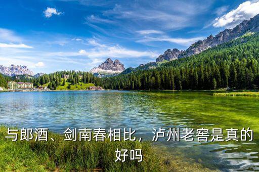 與郎酒、劍南春相比，瀘州老窖是真的好嗎