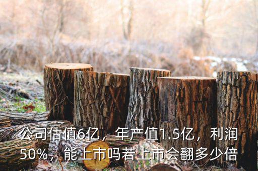公司估值6億，年產(chǎn)值1.5億，利潤50%，能上市嗎若上市會翻多少倍
