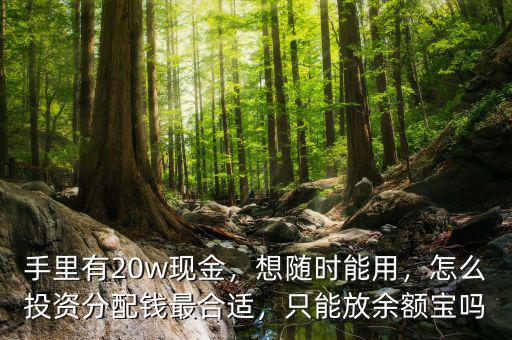 手里有20w現(xiàn)金，想隨時(shí)能用，怎么投資分配錢最合適，只能放余額寶嗎