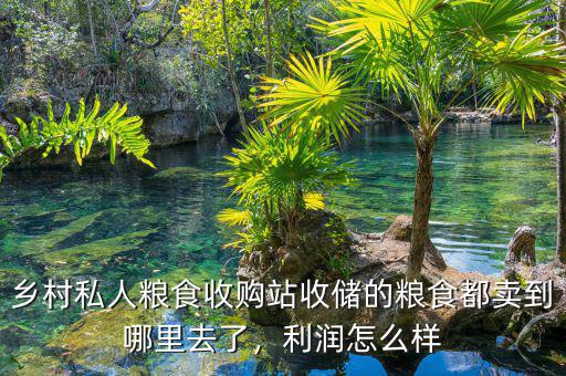 鄉(xiāng)村私人糧食收購站收儲(chǔ)的糧食都賣到哪里去了，利潤怎么樣