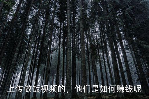 上傳做飯視頻的，他們是如何賺錢呢