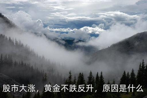 股市大漲，黃金不跌反升，原因是什么