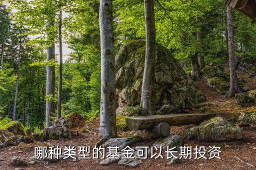 哪種類(lèi)型的基金可以長(zhǎng)期投資