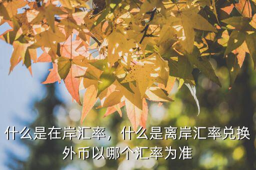 什么是在岸匯率，什么是離岸匯率兌換外幣以哪個匯率為準(zhǔn)