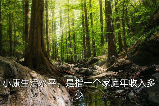 小康生活水平，是指一個(gè)家庭年收入多少
