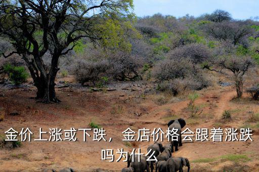 金價(jià)上漲或下跌，金店價(jià)格會(huì)跟著漲跌嗎為什么