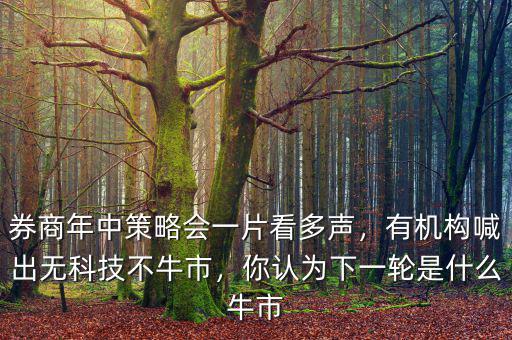 券商年中策略會一片看多聲，有機構(gòu)喊出無科技不牛市，你認為下一輪是什么牛市