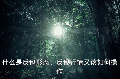 什么是反包形態(tài)、反包行情又該如何操作