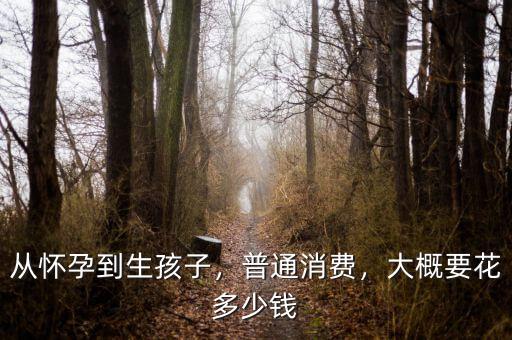 從懷孕到生孩子，普通消費(fèi)，大概要花多少錢