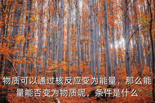 物質(zhì)可以通過核反應(yīng)變?yōu)槟芰浚敲茨芰磕芊褡優(yōu)槲镔|(zhì)呢，條件是什么