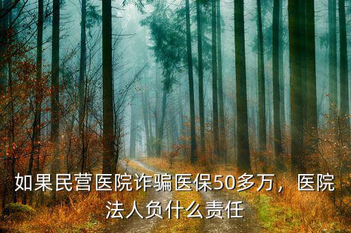 如果民營醫(yī)院詐騙醫(yī)保50多萬，醫(yī)院法人負(fù)什么責(zé)任