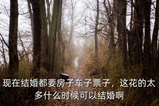 現(xiàn)在結(jié)婚都要房子車子票子，這花的太多什么時(shí)候可以結(jié)婚啊