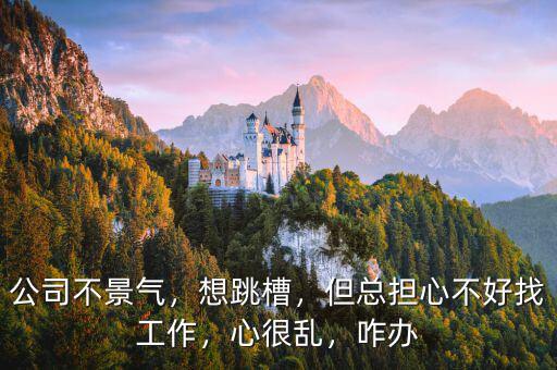 公司不景氣，想跳槽，但總擔(dān)心不好找工作，心很亂，咋辦