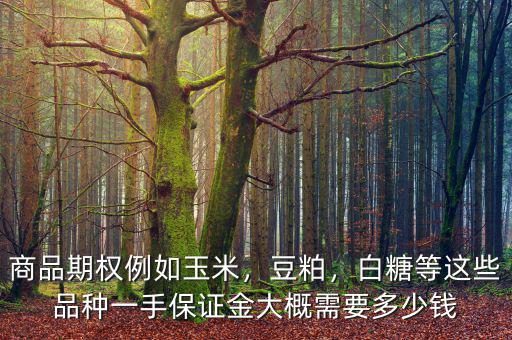 商品期權例如玉米，豆粕，白糖等這些品種一手保證金大概需要多少錢