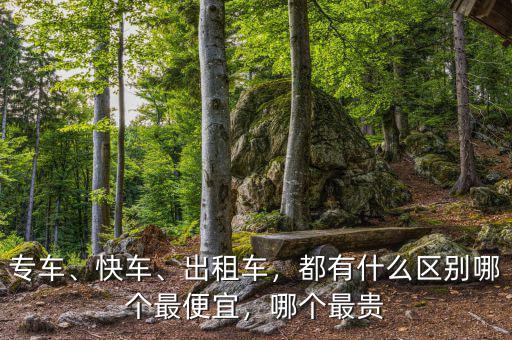 專車(chē)、快車(chē)、出租車(chē)，都有什么區(qū)別哪個(gè)最便宜，哪個(gè)最貴