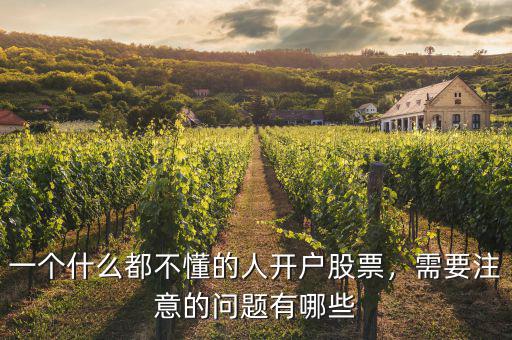一個什么都不懂的人開戶股票，需要注意的問題有哪些