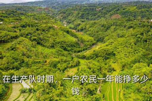 在生產隊時期，一戶農民一年能掙多少錢