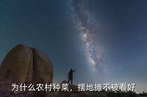 為什么農村種菜，擺地攤不被看好