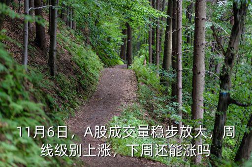 11月6日，A股成交量穩(wěn)步放大，周線級別上漲，下周還能漲嗎