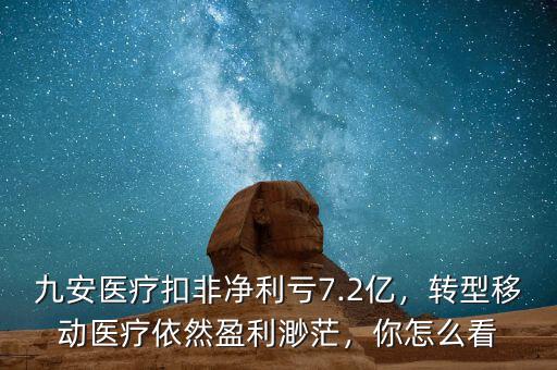 九安醫(yī)療扣非凈利虧7.2億，轉(zhuǎn)型移動(dòng)醫(yī)療依然盈利渺茫，你怎么看